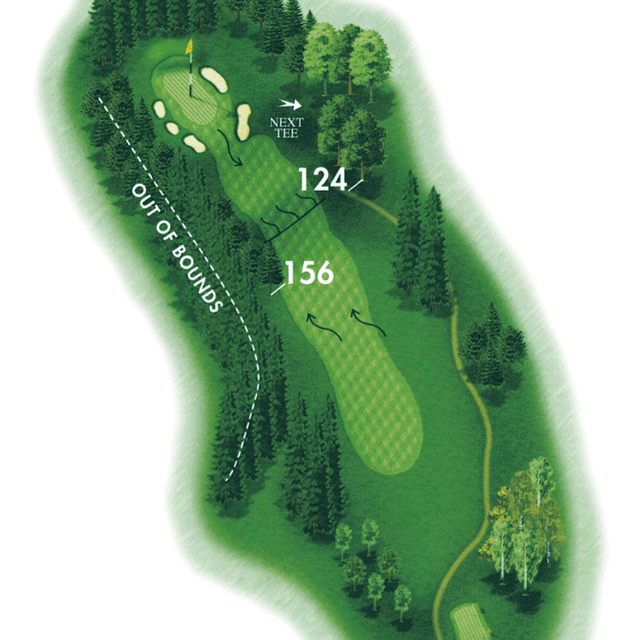 Hole 15