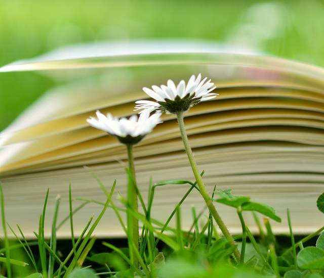 ISBN Arts & Literary Festival