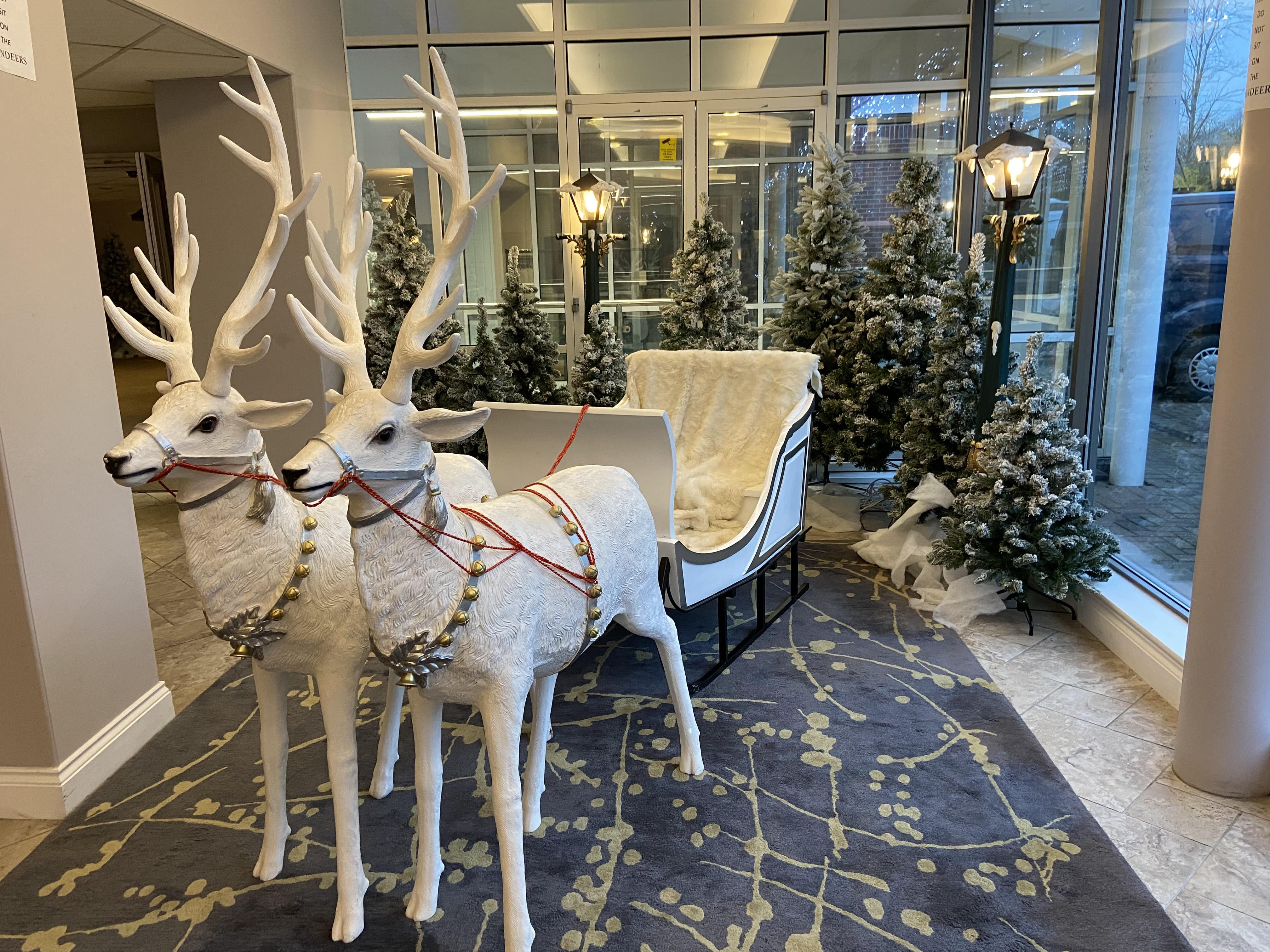  Winter Wonderland at Stoke by Nayland Resort