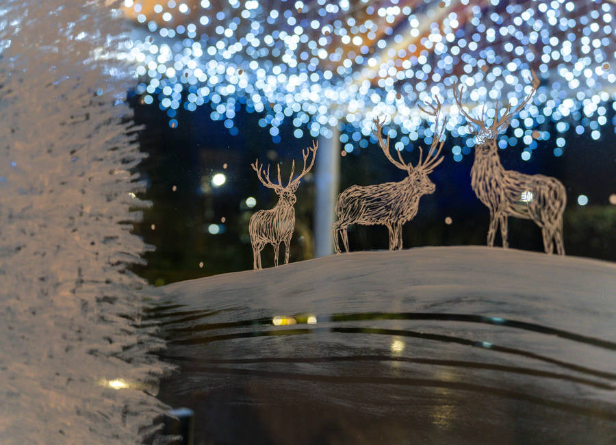 Christmas Things to do in Essex