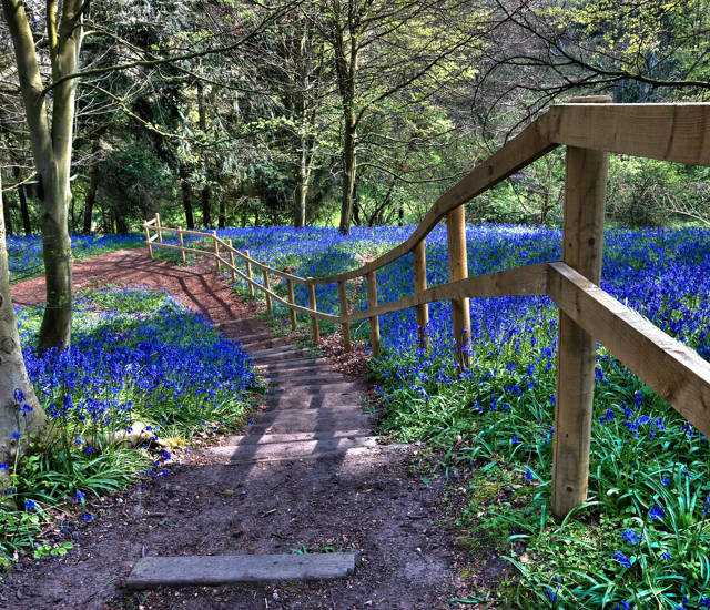 Here are 6 of the top must-see places to visit this spring