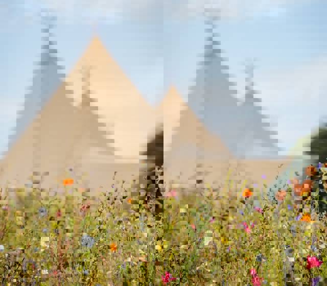 Win 50% Off Your Tipi Wedding Venue Hire in August 2026