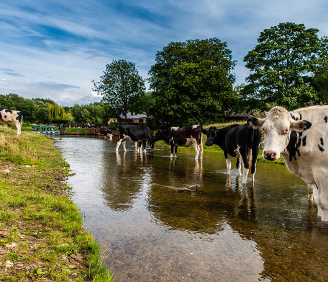 Summer 2021: top 10 things to do near Stoke By Nayland
