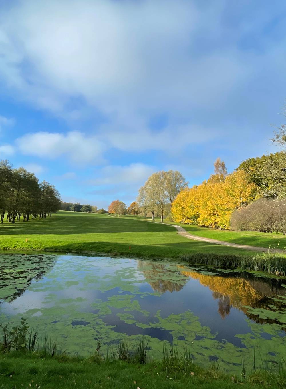 Autumn Dinner, Bed & Breakfast Offer
