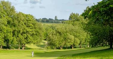 A person on a golf course

AI-generated content may be incorrect.