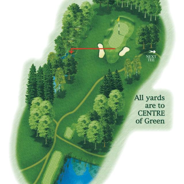 Hole 11