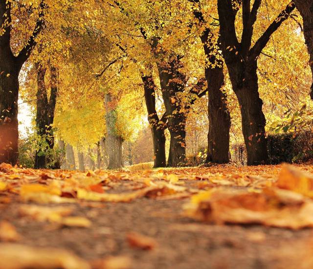 The best things to do in Suffolk this September
