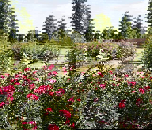 10 incredibly beautiful gardens in Suffolk that you'll really love