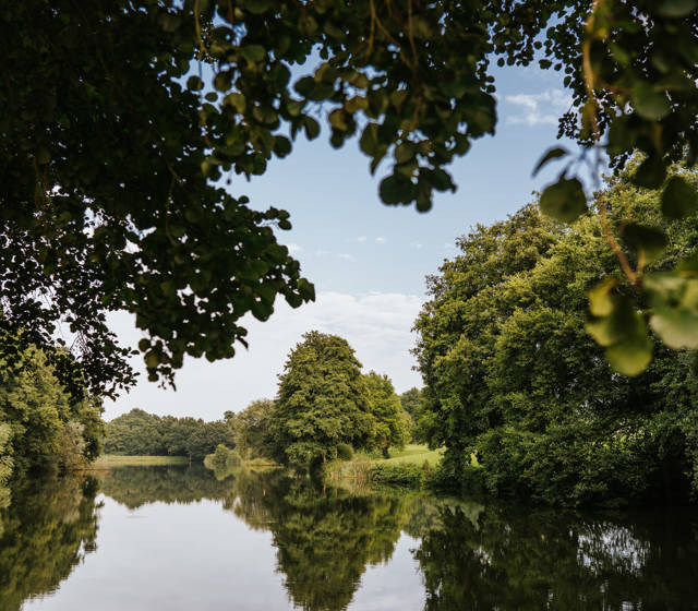 August Special – 15% Off Stays