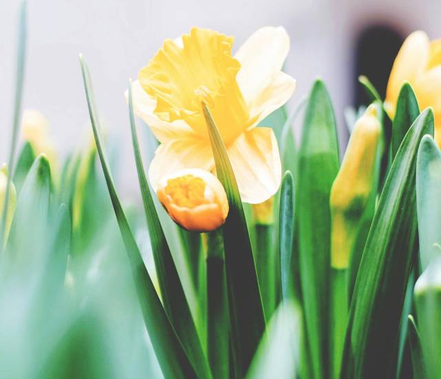 These weird and wonderful Easter traditions will make you say, ‘Wow' and also, 'What?!'