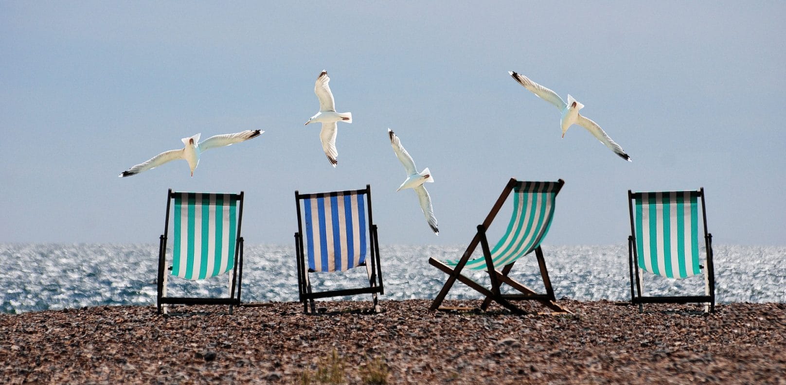 Seagulls and deckchairs on a beach