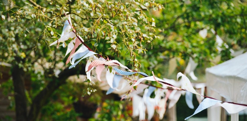 Bunting on trees