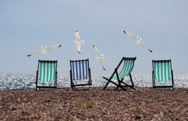 Seagulls and deckchairs on a beach