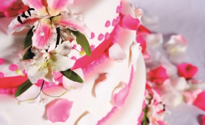 Pink wedding cake close up